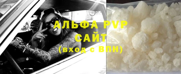 молекула духа Заволжье