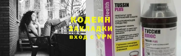 молекула духа Заволжье