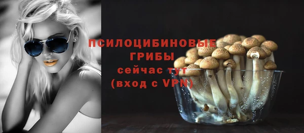 мдпв Заволжск