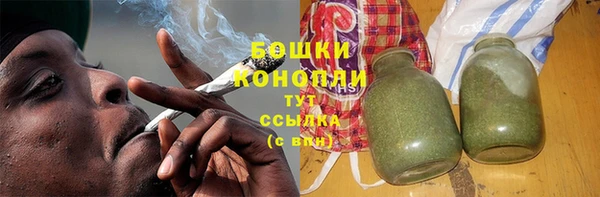молекула духа Заволжье